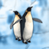 polar adventure penguins symbol