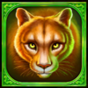 polar buffalo extreme hold and win 25000 puma symbol