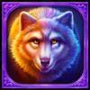 polar buffalo extreme hold and win 25000 wolf symbol