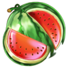 pome race 5 sun link watermelon symbol