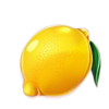 porko wins lemon symbol