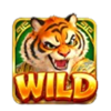 power of tiger wild symbol