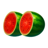 power sun watermelons symbol