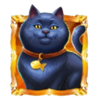 purrfect riches cat 1 symbol