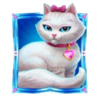 purrfect riches cat 2 symbol