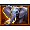 queen of beasts african elephant symbol