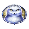 queen of ice expanded edition owl symbol