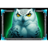 queen of the arctic owl symbol