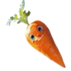 quick garden carrot symbol