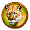 raging riches fortune frenzy symbol 4