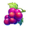 rainbow fruit flowin grape symbol