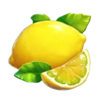 rainbow fruit flowin lemon symbol