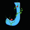 rainbow lady j symbol