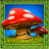 rainbow riches deluxe mushroom symbol