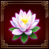 rake it in pots of gold lotus flower symbol