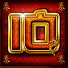 red bird and golden dragon 10 symbol