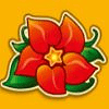 red chilli flower symbol