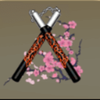 red dragon nunchucks symbol