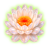 red dragon of luck flower symbol