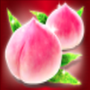 red fortune flowers symbol