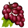 red white and blue red grapes symbol