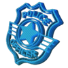 redtail robber cash vault heist badge symbol