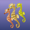 reef encounter sea horse symbol