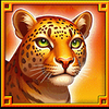 reel eldorado cheetah symbol