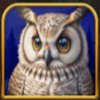 reel fox owl symbol
