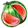 regal spins 10 sun link watermelon symbol