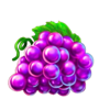 regal spins 10 xmas grape symbol