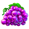 regal spins 40 sun link grapes symbol