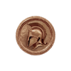 relax gaming arena of fortune bronze coin symbol