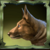 relic seekers dog symbol