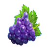 respin joker 243 greape symbol
