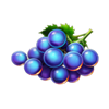 respin multi joker grapes symbol