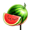 respin multi joker watermelon symbol