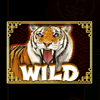 retro tiger wild symbol