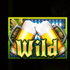 retrofest wild symbol