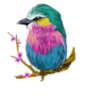 rich n wild bird symbol