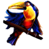 rio riches parrot symbol