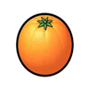 roaring coins orange symbol