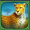 roaring lions brasil jackpot lion symbol