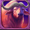 roaring lions brasil jackpot ox symbol