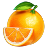 rollin hot 10 classic series orange symbol