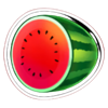 rolling wild watermelon symbol