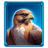roman fortune brown falcon symbol