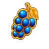 royal beellion hold and win grape symbol