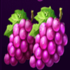 royal coins 2 hold and win two grapes symbol