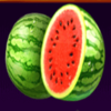 royal coins 2 hold and win two melon symbol